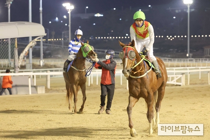 25년 1월 12일 신년 첫 1등급 경주 우승마 '빈체로카발로'