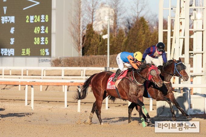 23년 그랑프리(G1) 우승한 위너스맨과 서승운 기수(2번).
