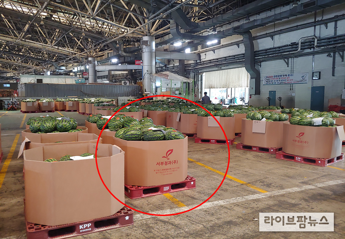 서울시농수산식품공사는 4월 1일부터 강서시장에 출하되는 수박에 대하여 산지(시장인근 외부 선별장 포함) 선별 후 팰릿 적재 출하토록하고 물류비용을 지원하는 수박 물류개선 사업을 추진한다.