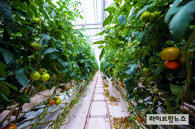 배출권거래제 외부사업 참여농가 사진.