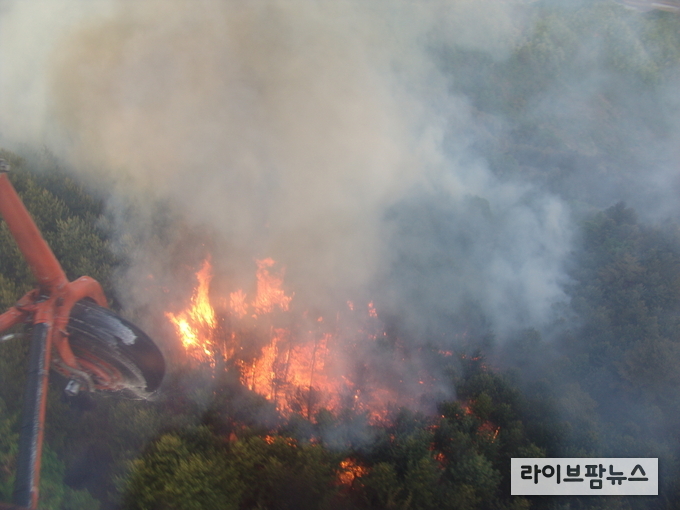 이상기후로 인해 전 세계적으로 산불 발생 위험이 증가하고 있는 가운데 발생 양상이 불확실해져 예측이 어려워지고 있다. 이에따라 대형산불을 막기 위한 선제적 대응이 필수적이다.