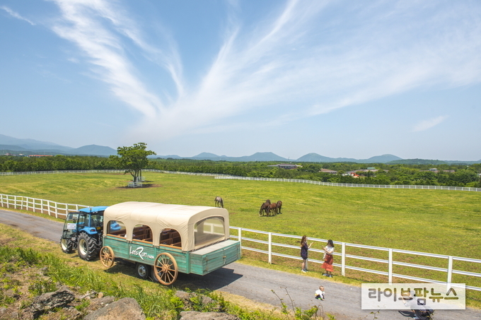 한국마사회 제주목장이 새 단장을 마치고 제주의 대표 말 테마 목장으로 거듭난다.
