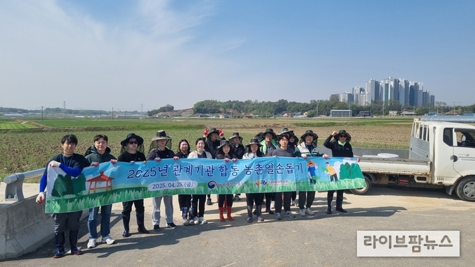 식품진흥원, 농식품부 관계자들이 생강심기 활동을 전개했다.