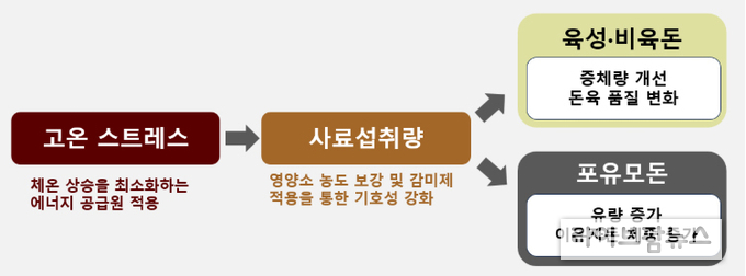 자료1) 하절기 특수 배합비 강화 내용
