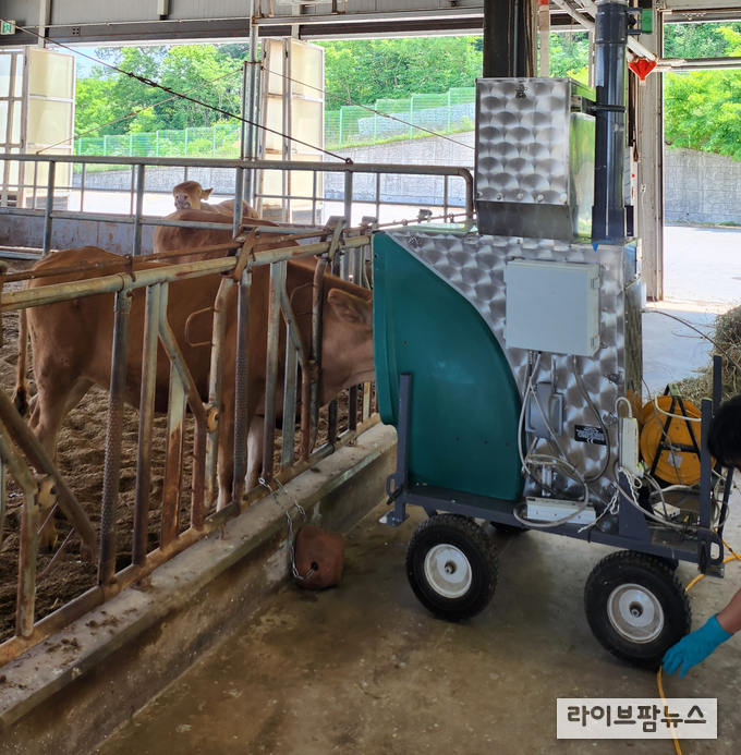 농진청은 한우의 장내 발효 과정에서 발생하는 메탄을 18% 줄일 수 있는 사료 소재인 ‘티아민 이인산’을 개발, 축산분야 탄소중립 실현을 앞당길 수 있게 됐다.