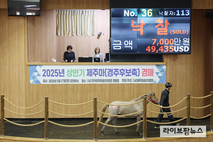 36번 최고가 낙찰마.
