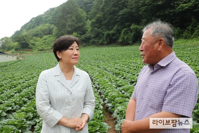 농림축산식품부 송미령 장관은 6일, 강원 평창군에 위치한 여름배추 재배현장 및 출하조절시설을 찾아 생육 및 출하 상황을 점검하고 농업인을 격려했다.