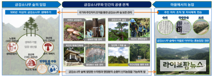 울진 금강송 산지농업시스템.