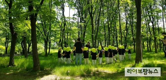 산림청 국립산림과학원은 위성사진을 기반으로 서울시 자치구별 평균 지표 온도와 도시숲 지도를 분석한 결과, 자치구별 도시숲 면적 비율에 큰 편차가 있음을 확인했다. 사진은 양재 시민의 숲.
