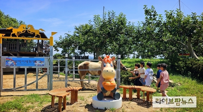 한국마사회는 여름방학 시즌을 맞아 경남 창원시 빗돌배기마을에서 ’농촌체험휴양마을 말테마 체험‘ 사업을 시행한다.