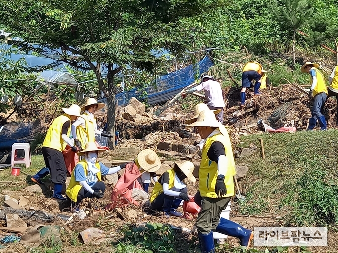 대통령소속 농어업·농어촌특별위원회는 25일, 경기 가평군 상면 율길리를 찾아 최근 집중호우로 침수 피해를 입은 농가의 복구 지원을 위해 일손돕기를 진행했다.