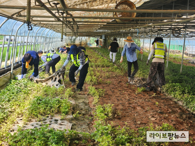 가축위생방역지원본부는 7월 22일 ~ 8월 8일까지 18일간 특별재난지역을 중심으로 집중호우로 피해를 입은 전국의 가구에 대해 피해 복구 지원 봉사활동을 실시했다.