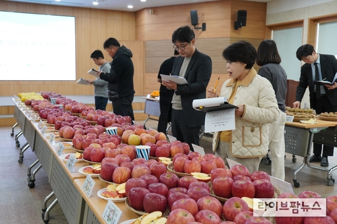 농림축산식품부와 한국과수농협연합회는 국산 과일의 품질 경쟁력을 높이고 소비를 촉진하기 위한 '2025 대한민국 대표과일선발대회'를 11월 개최한다.