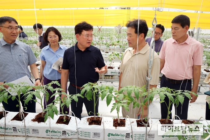 이승돈 신임 농촌진흥청장은 17일, 취임 첫 행보로 가을 작기를 시작한 전남 담양의 시설 토마토재배 농가를 방문해 ‘토마토뿔나방’ 방제 상황을 점검했다.