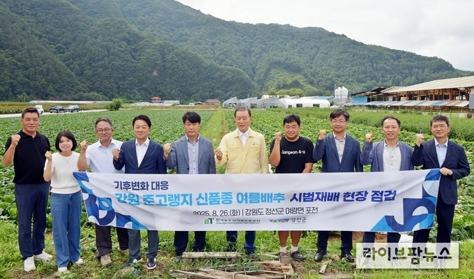 한국농수산식품유통공사 홍문표 사장은 26일 강원도 정선군 준고랭지 여름배추 시범재배지 현장을 점검했다. 홍문표 aT 사장(좌측 6번째), 홍성호 aT 강원지역본부장(좌측 9번째), 이종환 정선군 유통축산과장 (좌측 1번째), 이경천 정선군 농업기술센터 소장(좌측 5번째), 박상봉 농업인(좌측 7번째)