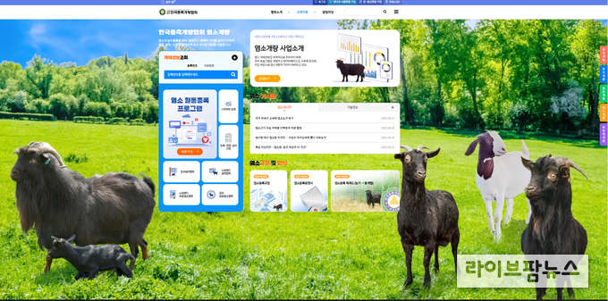 한국종축개량협회 염소개량 전용 홈페이지 오픈.