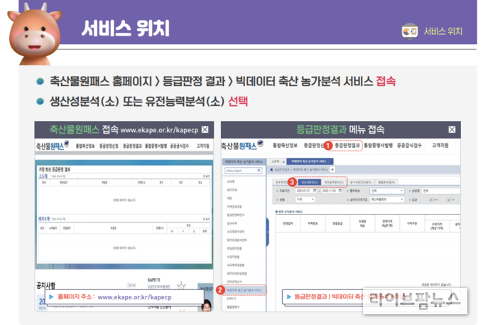 축산물원패스 누리집 내 생산성 분석 및 유전능력분석 서비스 위치.