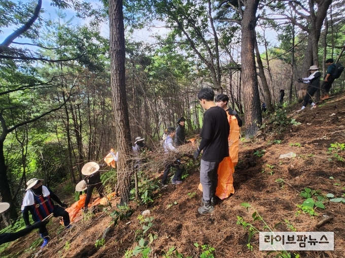 산림청 산하 공공기관인 한국임업진흥원은 지난 4일, 산불 피해로 어려움을 겪고 있는 경남 산청군의 산불피해지 복구를 위한 일손돕기 활동을 펼쳤다. 사진은 하층식생 정리 모습.