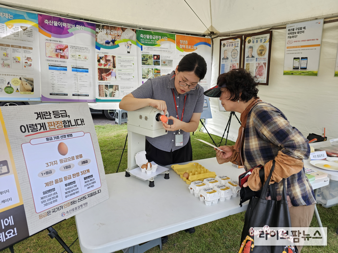 축산물품질평가원 제주지원은 지난 5~6일 제주시민복지타운 잔디광장에서 열린 '제5회 제주 한·흑우 경진대회'에 홍보관을 운영하고, 계란 등급판정 제도의 인지도와 신뢰도를 높이기 위한 홍보 활동을 펼쳤다.