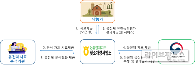 농가 서비스 체계