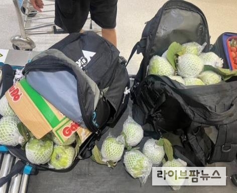 국경검역(휴대) 및 수입금지품 유통 현장 적발 모습.