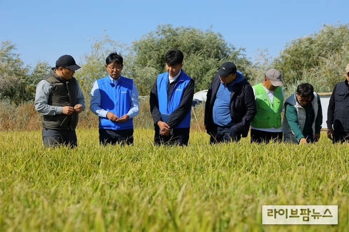 ‘진부올벼’ 시험포장을 둘러보고 있는 현장보고회 참석자들. (왼쪽 첫 번째 잠발체렌 식량농업경공업부 차관, 두 번째 오명규 KOPIA센터 소장)