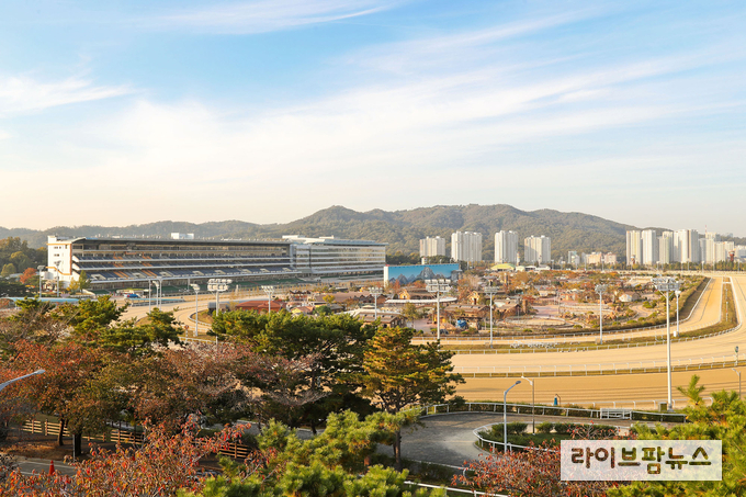 한국마사회는 추석 연휴를 맞아 10월 경마 일정을 탄력적으로 운영한다.
