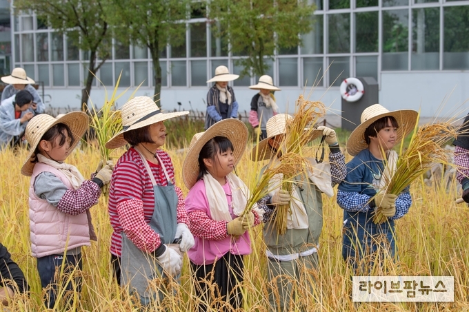 국립농업박물관은 전통 농업문화를 직접 체험하고 세대 간 농업의 가치를 공유할 수 있는 벼베기 체험 행사를 오는 22일 박물관 야외 다랑이논에서 개최한다.