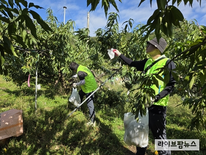 NH농우바이오는 16일, 수확철을 맞아 일손이 부족한 농가를 돕기 위해 강원도 원주시 소초면에서 농촌 일손돕기 봉사활동을 펼쳤다.
