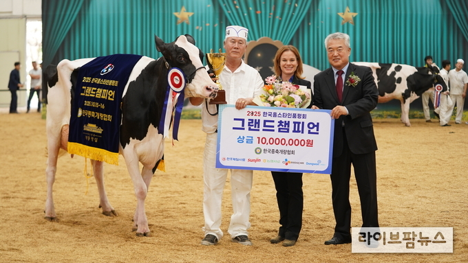 노곡목장 최명회 대표가 15일~16일 양일간, 농협 안성팜랜드에서 개최된 ‘2025한국홀스타인품평회’에서 품평회 역사 최초로 ‘그랜드챔피언’과 ‘준그랜드챔피언’을 동시 석권했다.