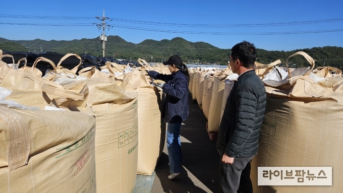 국립농산물품질관리원 경남지원은 2025년산 공공비축 포대벼 매입검사를 28일 경남 고성군을 시작으로 1,133개 장소에서 검사관 88개반을 투입하여 12월 31일까지 완료할 계획이다.