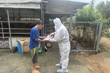 “축산농가 가축 피해 막자”…방역본부, 폭염 대비 사양관리 요령 홍보