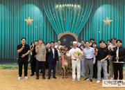 농진청, 2025 한국홀스타인품평회서 저지종 젖소 수상