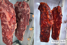 3주 걸리던 소고기 건식숙성, 2일이면 가능하다