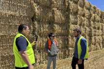 농협사료, 국내산 조사료 수급 불안 해소 위해 조사료 수입량 확대