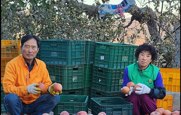 경북 의성 김부득씨 ‘사과’, 대한민국 대표과일 선발대회 ‘대상’ 수상