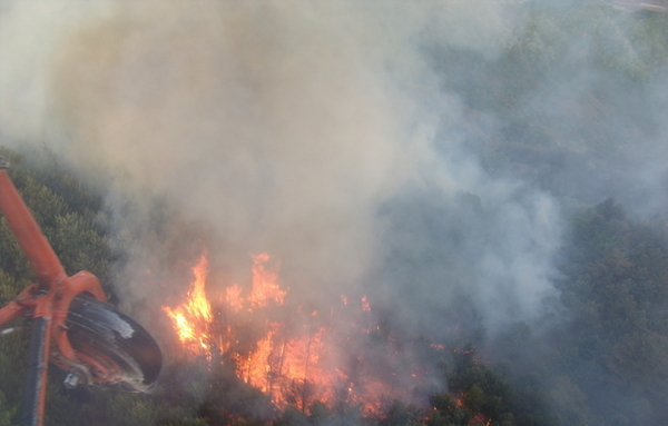 영남지역 산불 위험 ‘높음’…“1월 누적 강수량 최저”