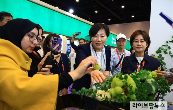 두바이 사막에서 꽃피운 케이(K)-푸드!