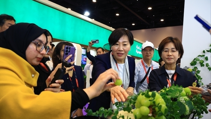 두바이 사막에서 꽃피운 케이(K)-푸드!