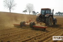 겨울 지낸 풀사료, 땅 녹는 2월하순~3월 상순이 재배 적기