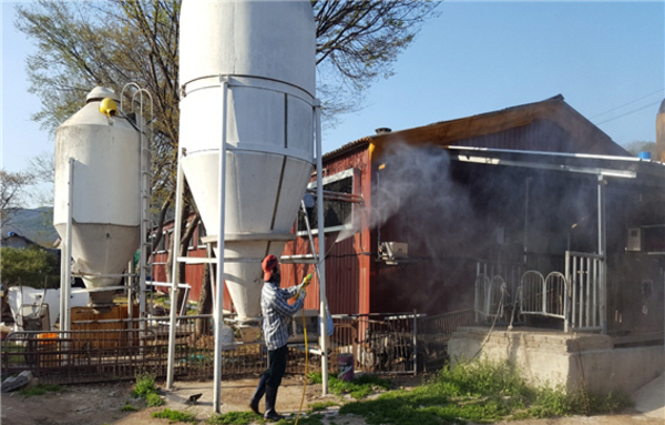 자돈사료에서 ASF 유전자 첫 검출…“위생관리 철저히 했는데” 망연자실