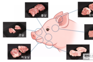 돼지 한 마리에서 단 1kg ‘머릿고기’…“맛있게 먹어볼까”