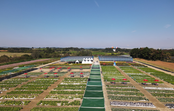 종자산업 미래 한눈에…2026 국제종자박람회 참가기업 모집