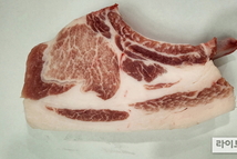 토종 제주흑돼지 ‘난축맛돈’, 국산 흑돼지 시장 확대 추진