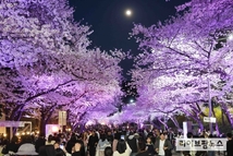 렛츠런파크 서울, 벚꽃축제 ‘馬시멜로’ 개최