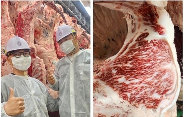 제주 한우 경락가 29,999원/kg…역대 최고 수준 경신